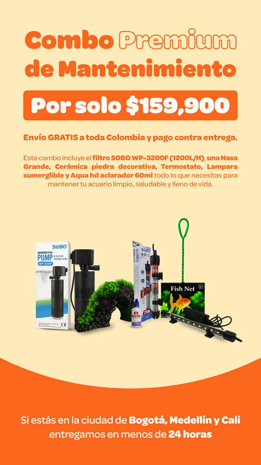 Combo Premium de Mantenimiento