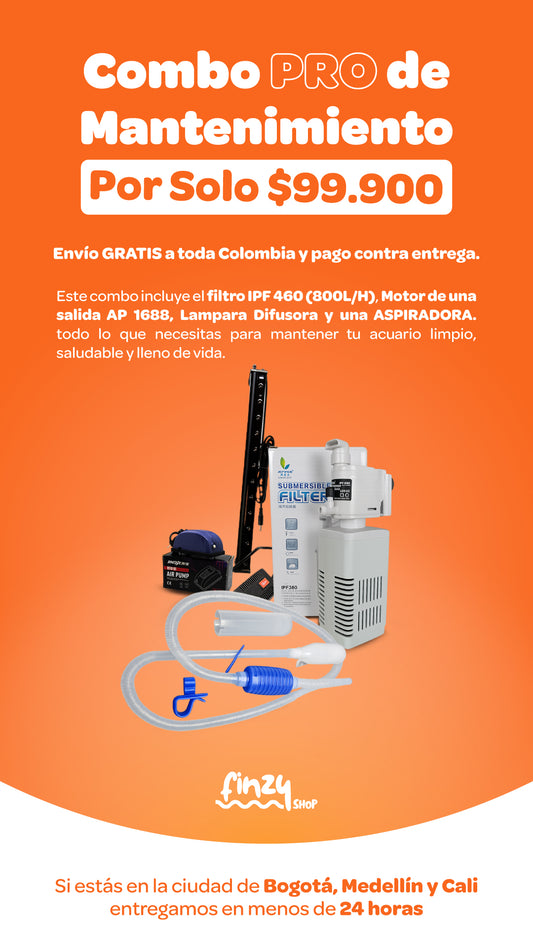 Combo Pro de Mantenimiento
