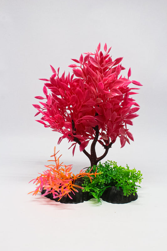 Arbol De Colores T601 (1Und)